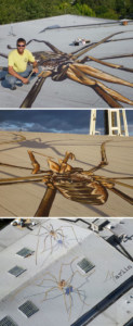 Artist Trolls Plane Passengers